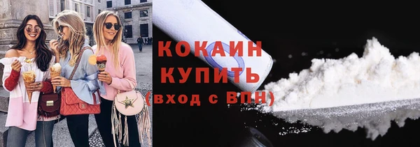 молекула духа Ладушкин