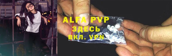винт Лагань