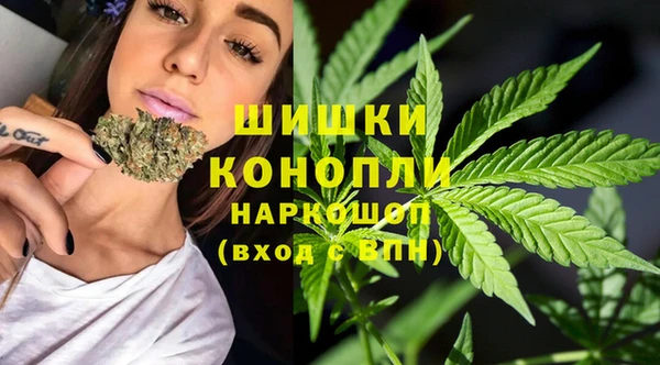 винт Лагань