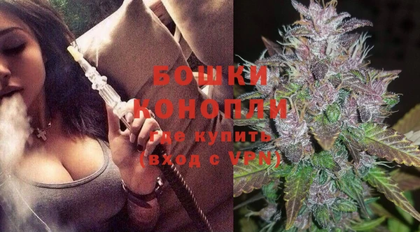 винт Лагань