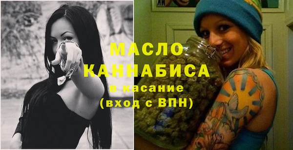 молекула духа Ладушкин