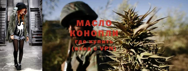 молекула духа Ладушкин