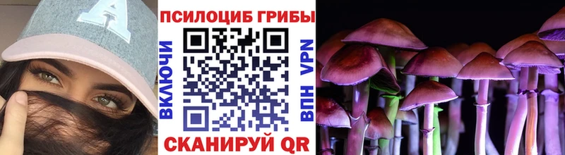 Псилоцибиновые грибы GOLDEN TEACHER Облучье